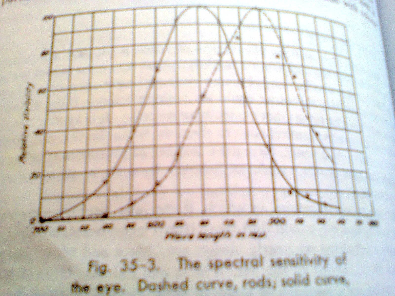 the spectral sensitivity of the eye.Dashed curve,rods;solid curve,cones